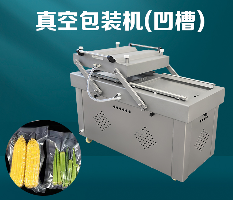 雙室真空（kōng）包裝機（jī）600型（xíng）